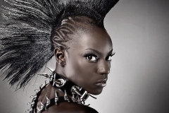 Cutrated Photography  Collection