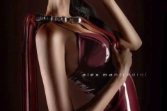 Cutrated Photography  Collection