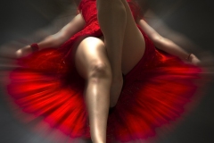 Cutrated Photography  Collection