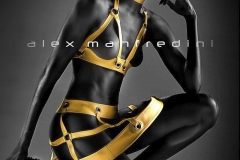 Alex Manfredini Photography - Portfolio