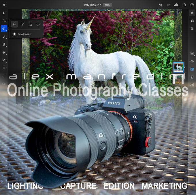 Photography Workshops